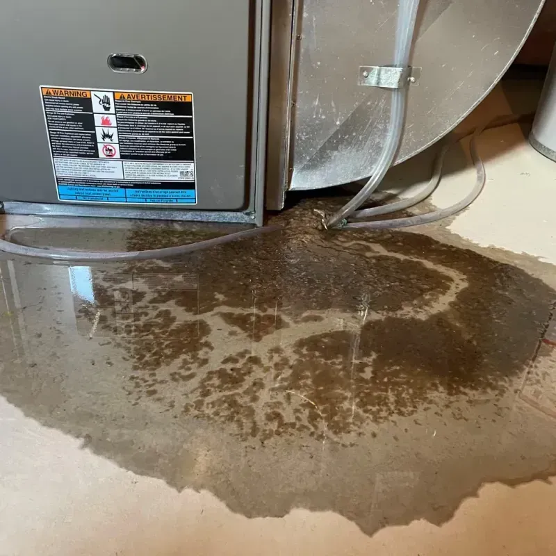 Appliance Leak Cleanup in Welcome, NC